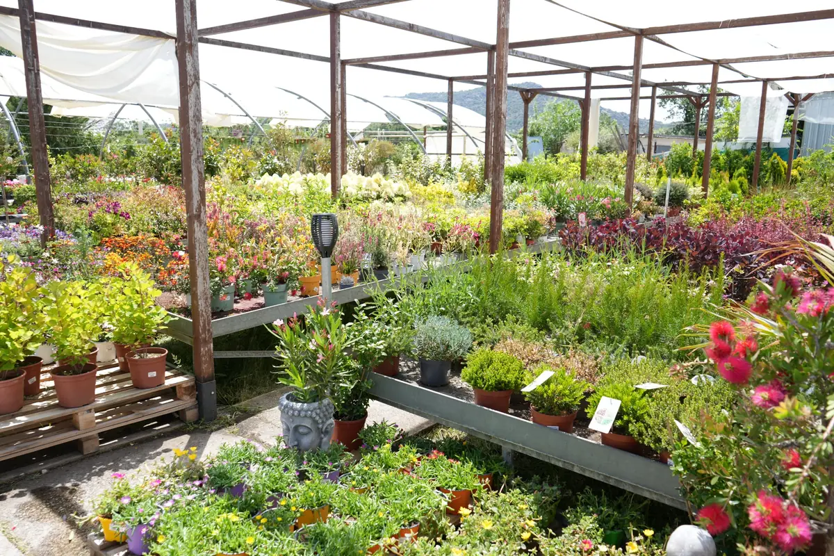 Servicio de plantas